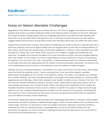 Essay on Nelson Mandela Challenges