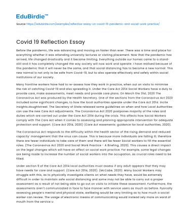 Covid 19 Reflection Essay