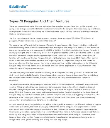 Types Of Penguins And Their Features