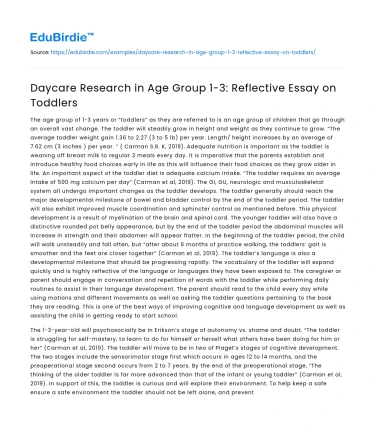 Daycare Research in Age Group 1-3: Reflective Essay on Toddlers