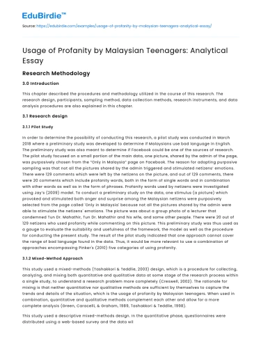 Usage of Profanity by Malaysian Teenagers: Analytical Essay