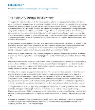 The Role Of Courage In Midwifery