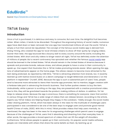 TikTok Essay