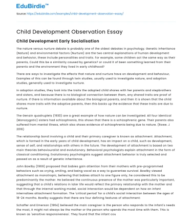 Child Development Observation Essay