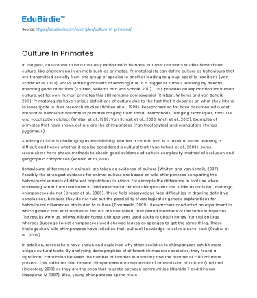 Culture In Primates