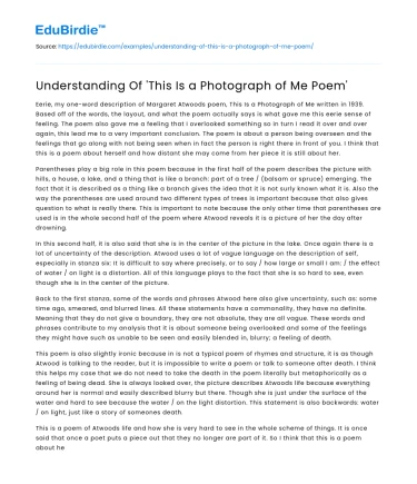 Understanding Of ‘This Is a Photograph of Me Poem’