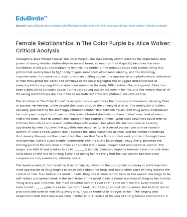 Critical Analysis of Female Relationships in The Color Purple