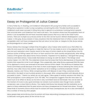 Essay on Protagonist of Julius Caesar