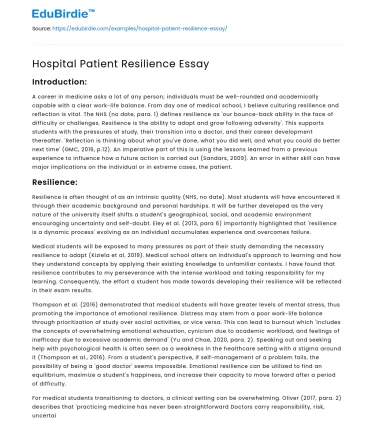 Hospital Patient Resilience Essay
