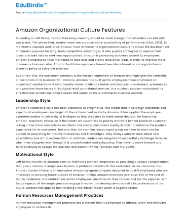 Amazon Organizational Culture Features