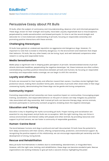 Persuasive Essay about Pit Bulls