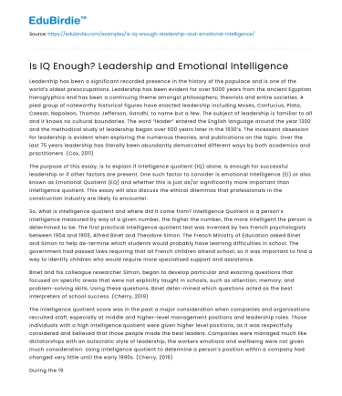 Is IQ Enough? Leadership and Emotional Intelligence