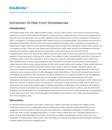 Extraction Of DNA From Strawberries