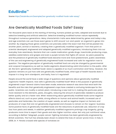 Are Genetically Modified Foods Safe? Essay
