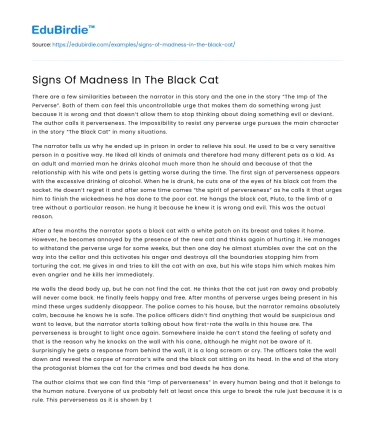 Signs Of Madness In The Black Cat