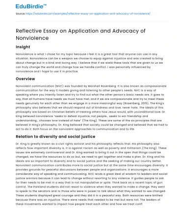 Reflective Essay on Application and Advocacy of Nonviolence