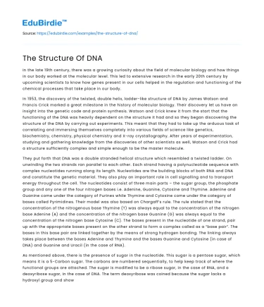The Structure Of DNA
