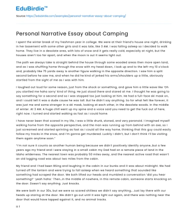 Self through Wilderness: A Camping Narrative