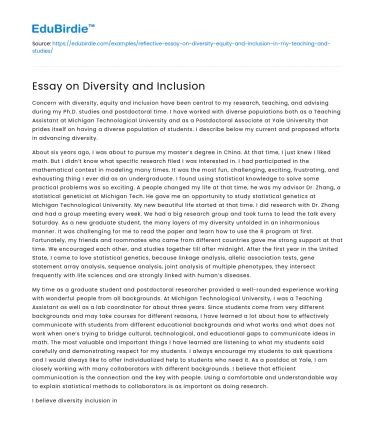 Essay on Diversity and Inclusion