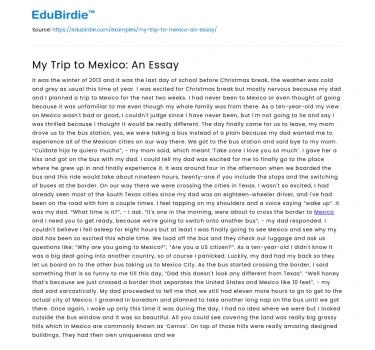 My Trip to Mexico: An Essay
