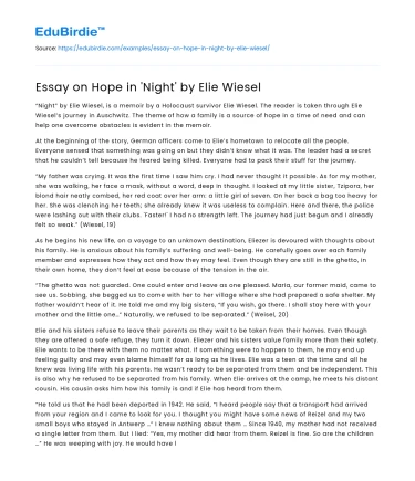 Essay on Hope in ‘Night’ by Elie Wiesel