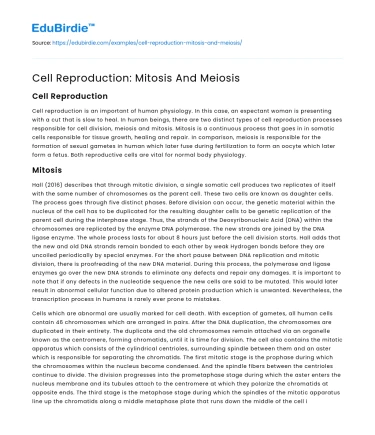 Cell Reproduction: Mitosis And Meiosis
