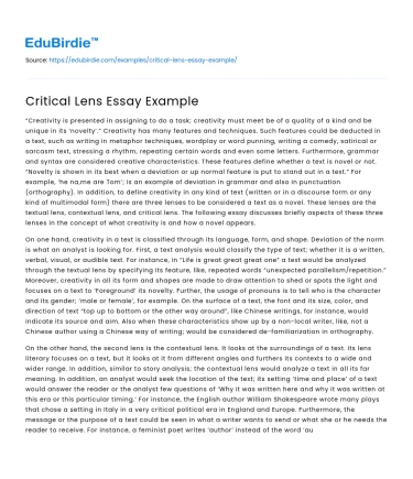 Critical Lens Essay Example