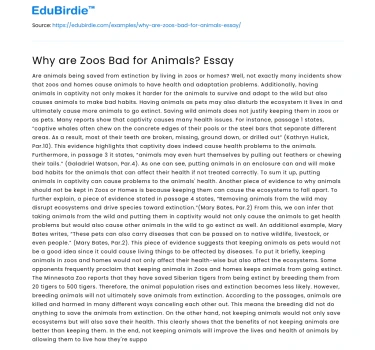 Why are Zoos Bad for Animals? Essay