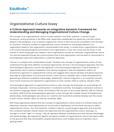 Organizational Culture Essay