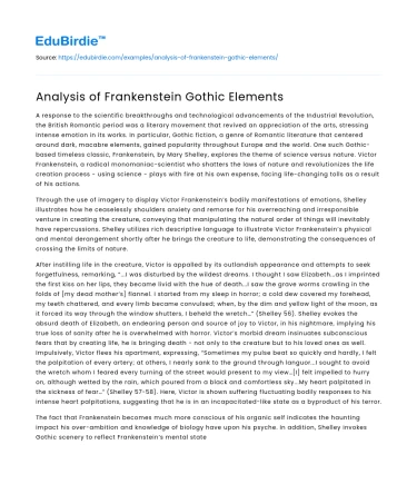 Analysis of Frankenstein Gothic Elements