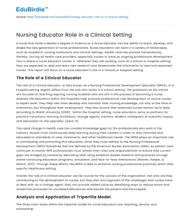 Nursing Educator Role in a Clinical Setting