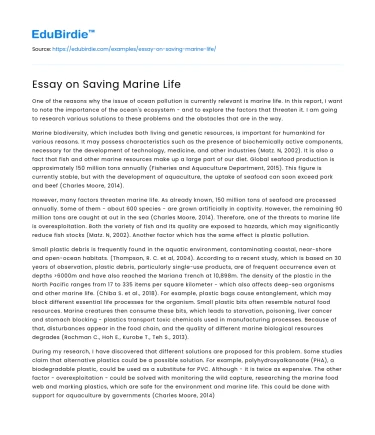 Essay on Saving Marine Life