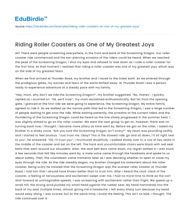 Riding Roller Coasters as One of My Greatest Joys