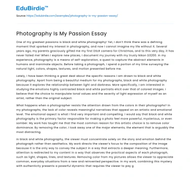 Photography Is My Passion Essay