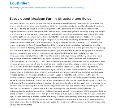Essay about Mexican Family Structure and Roles