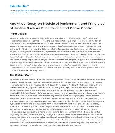 Models of Punishment and Principles of Justice: An Analytical Essay