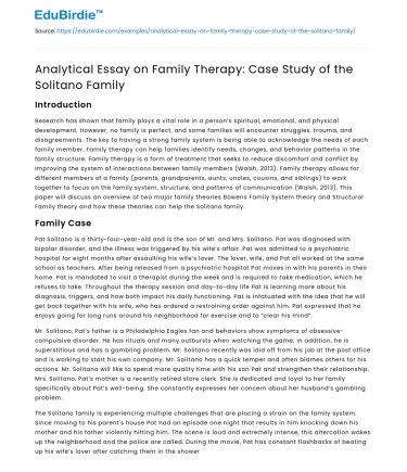 Analytical Essay on Family Therapy: Case Study of the Solitano Family