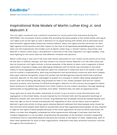 Inspirational Role Models of Martin Luther King Jr. and Malcolm X