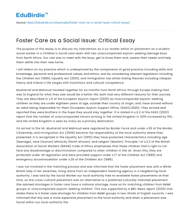 Foster Care as a Social Issue: Critical Essay