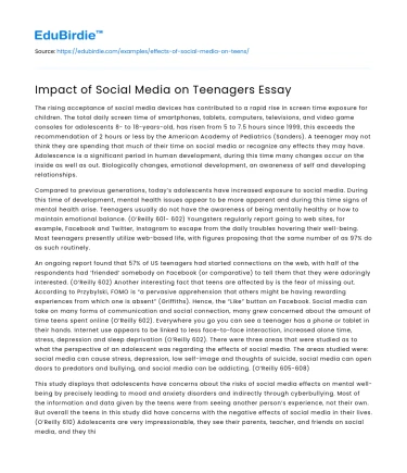 Impact of Social Media on Teenagers Essay
