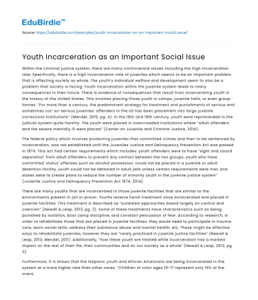 Youth Incarceration as an Important Social Issue