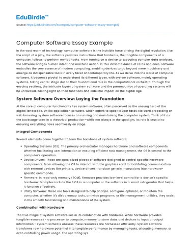 Computer Software Essay Example