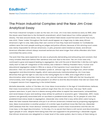 The Prison Industrial Complex and the New Jim Crow: Analytical Essay