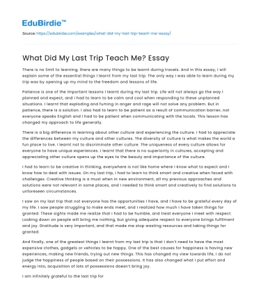 What Did My Last Trip Teach Me? Essay