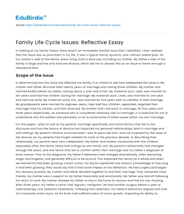 Family Life Cycle Issues: Reflective Essay
