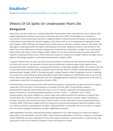 Effects Of Oil Spills On Underwater Plant Life