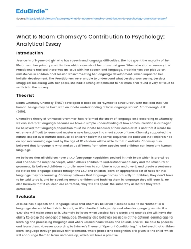 What Is Noam Chomsky’s Contribution to Psychology: Analytical Essay