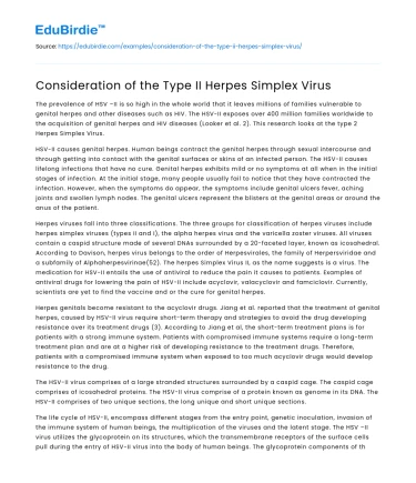 The Herpes Simplex Virus Type II