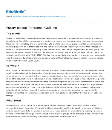 Essay about Personal Culture
