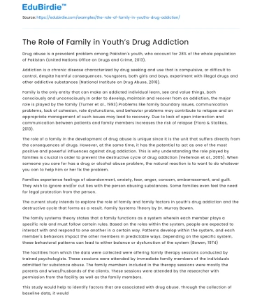 The Role of Family in Youth’s Drug Addiction